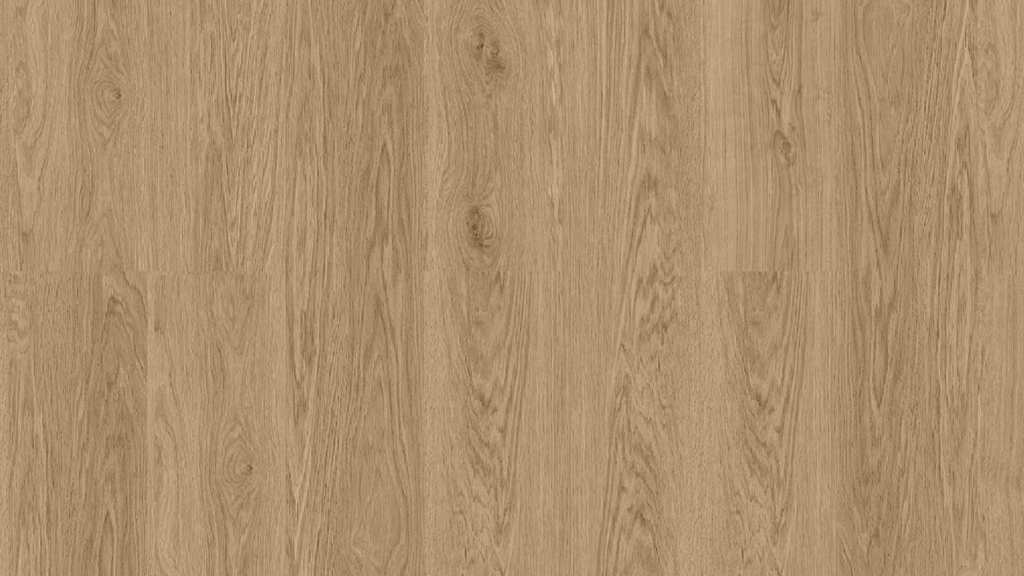 Exclusive EIR — plank